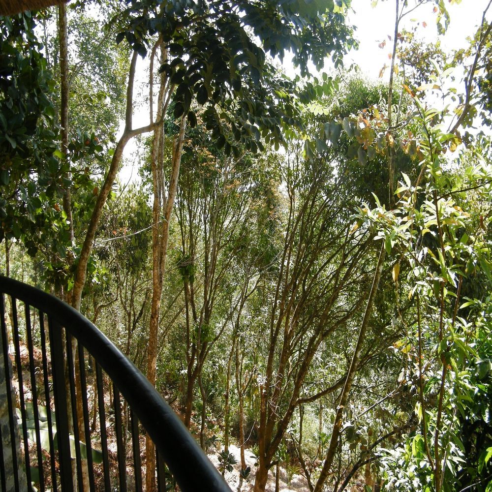 Hotel Poetree Thekkady Exteriér fotografie